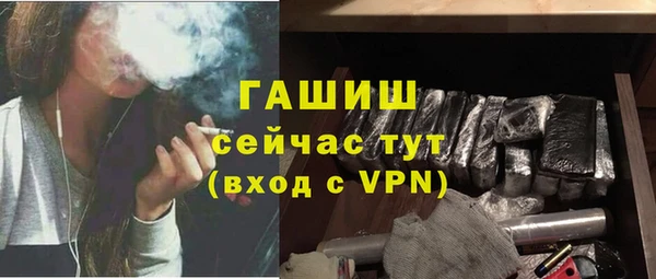 мдпв Бородино