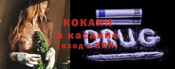 мдпв Бородино