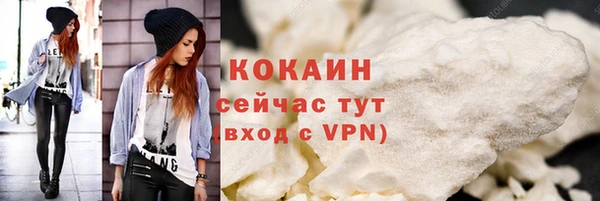 мдпв Бородино