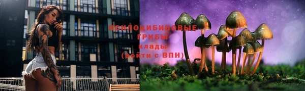 тгк Бугульма
