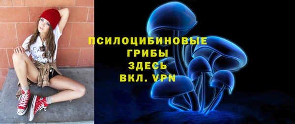 мдпв Бородино