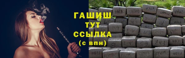мдпв Бородино