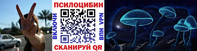 Псилоцибиновые грибы Cubensis  OMG ссылки  Кировск 