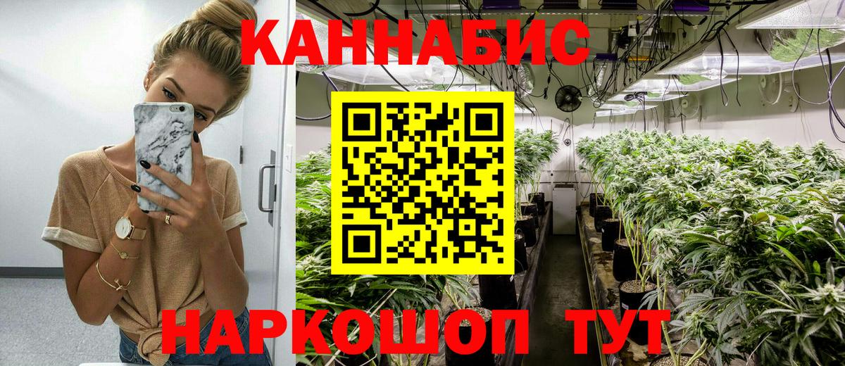 Каннабис OG Kush  Вход с VPN  Кировск  Бошки Шишки ГИДРОПОН  Шишки марихуана семена  Каннабис гибрид 
